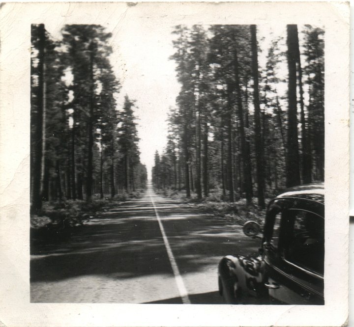 0410.jpg - Redwoods Trip  1938c