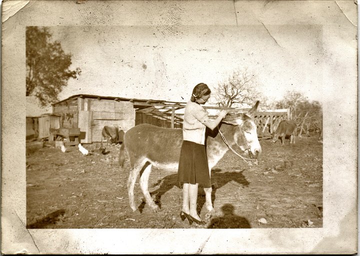 0462.jpg - 'Boots & jack a..'  Trip to Texas.  1940-41.