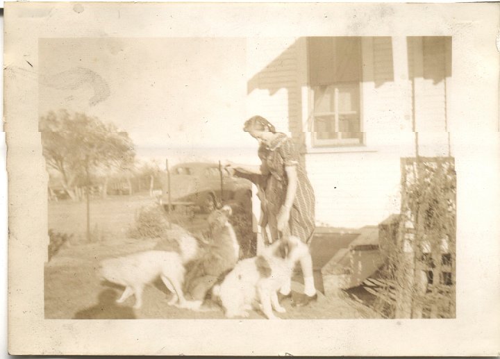 0463.jpg - Boots & the dogs.  Trip to Texas.  1940-41