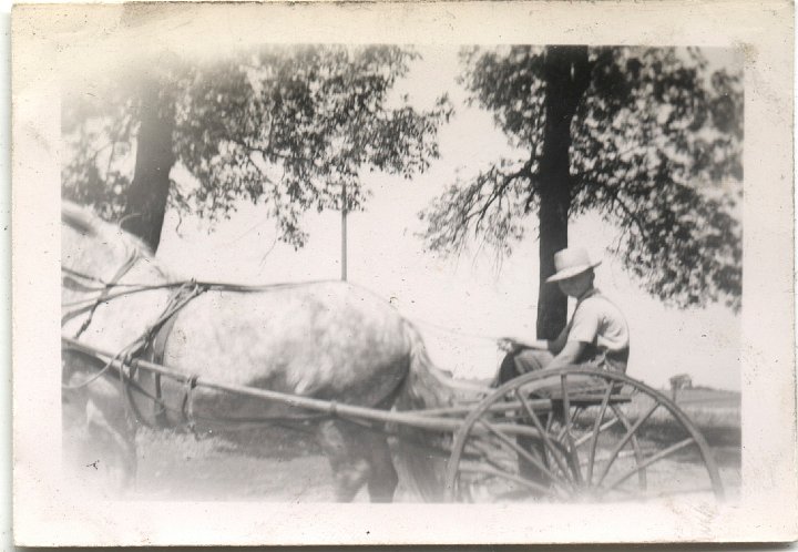 0652.jpg - unknown young man on cart with horse.  1941c