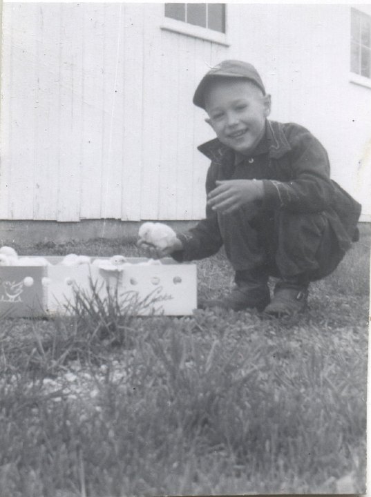 0704.jpg - Lamar with baby chicks.  1958c