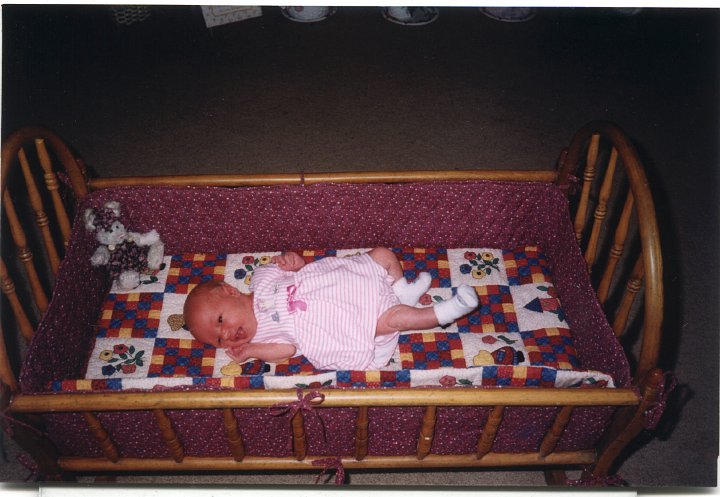 0734.jpg - Ray Roth's baby bed with Taylor Miller.  1997c