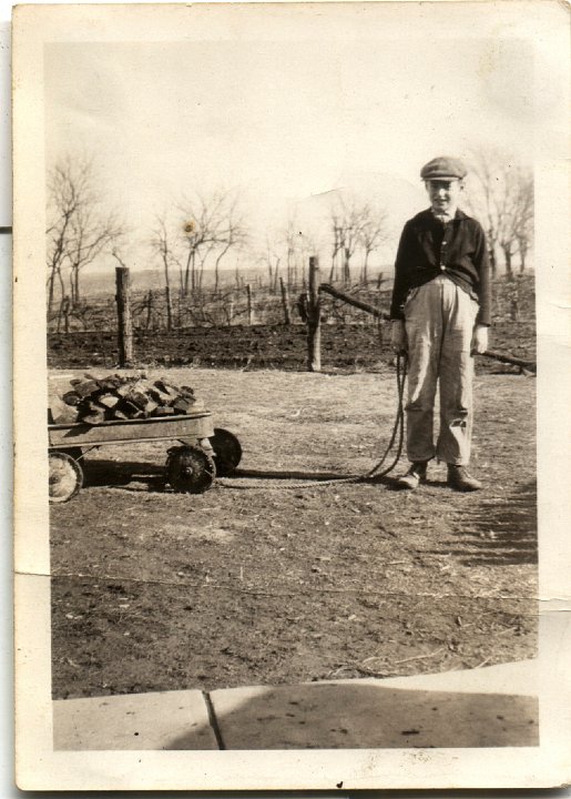 0799.jpg - Ray Roth pulling wagon.  1930c