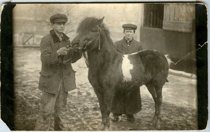 0880.jpg - Two men and a horse;1913