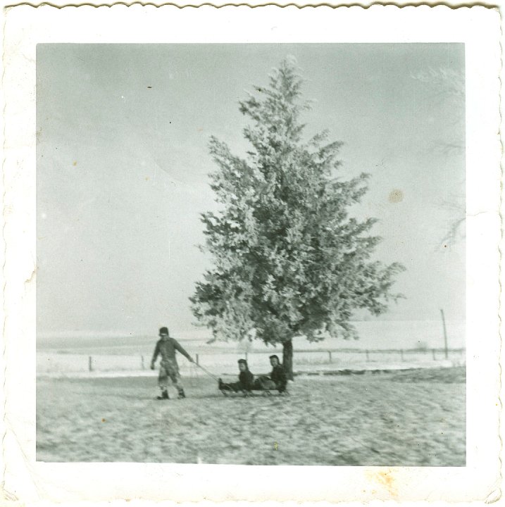 1022.jpg - Ray, Reynolds, & Lynn Roth sledding.  1956c