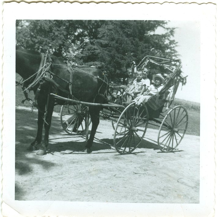 1108.jpg - Lynn, Reynolds, Larry Roth & Danny Trevino riding in a buggy behind Kate.  1957c