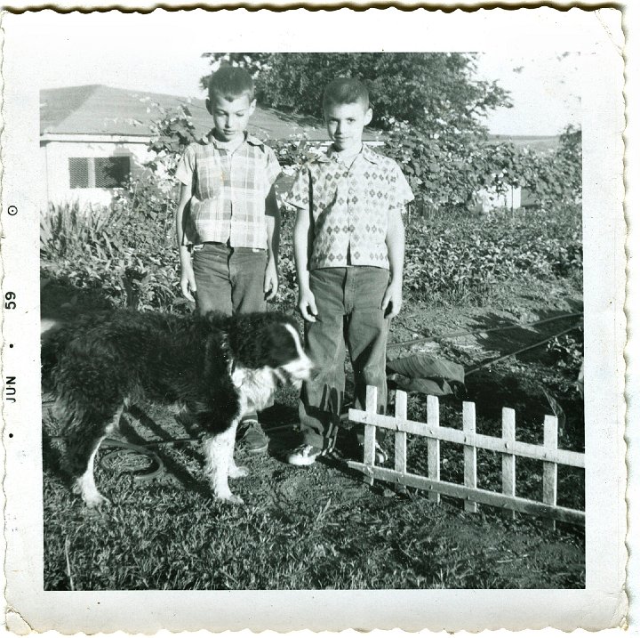 1113.jpg - Lynn Roth & unknown friend & Sparky, the border collie.  1959c