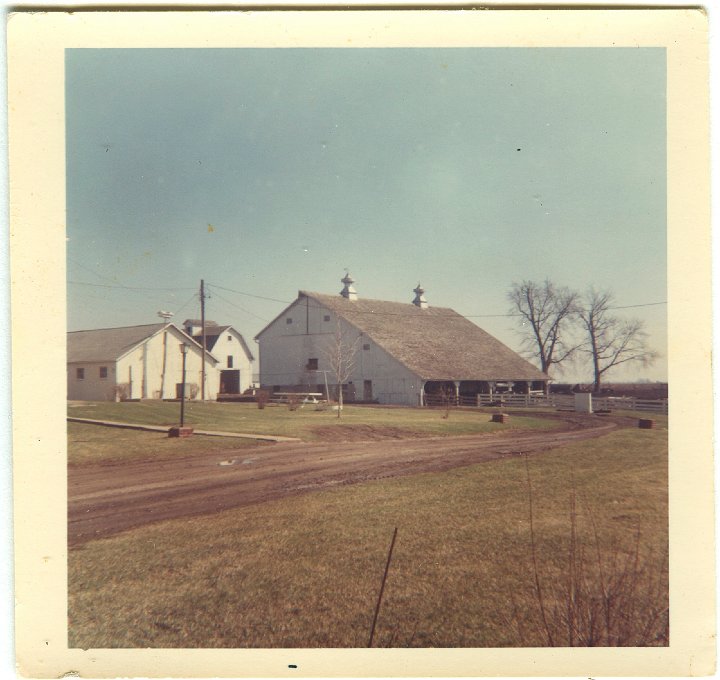 1137.jpg - Farm on Hwy 218.  1968