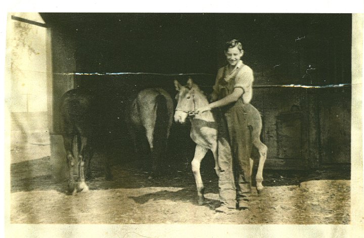 1141.jpg - Ray Roth with a colt.  1934c