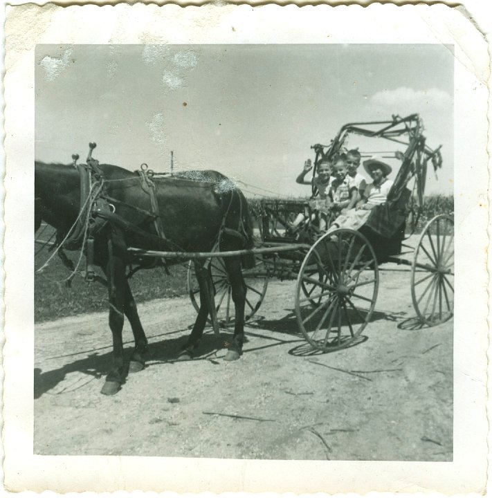 1155.jpg - Lynn, Reynolds, Larry Roth, Danny Trevino in the buggy pulled by Kate.  1959