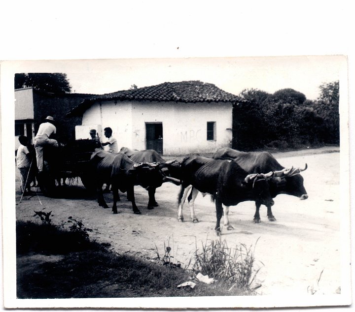 1541.jpg - Double team in Santa Cruz, Mexico  1946c