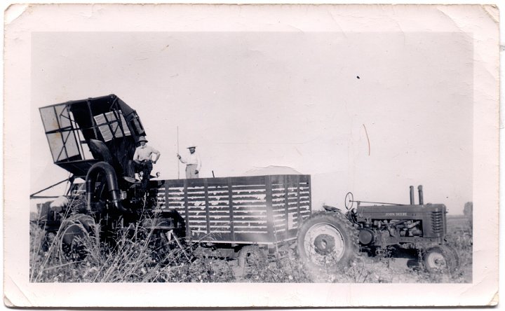 1544.jpg - Cotton Picking in Texas.  1939c