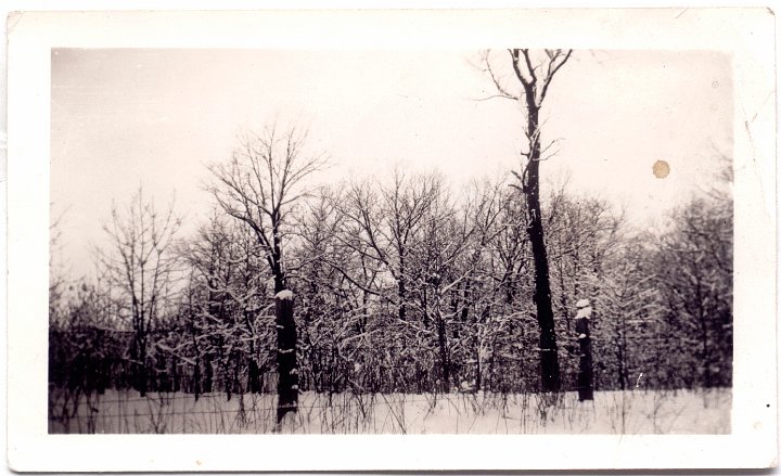 1567.jpg - Winter scene 1952