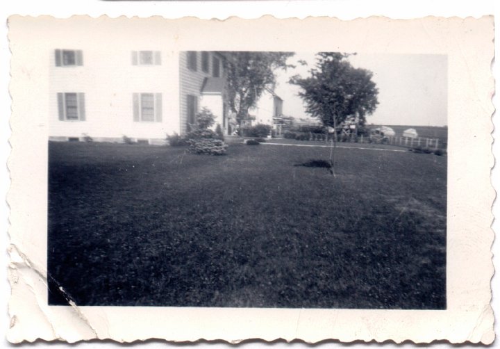 1582.jpg - unknown farmstead, 1955c