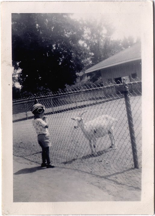 1663.jpg - unknown child with unknown goat.  1948c