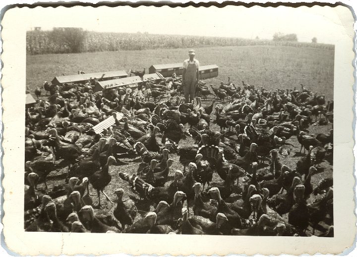 0913.jpg - Ray Roth with turkeys.  1946c