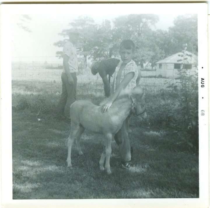 0962.jpg - Lamar Roth with colt.  Fred & Ray Roth fixing fence in background.  1968   see also:  #0987, #0988