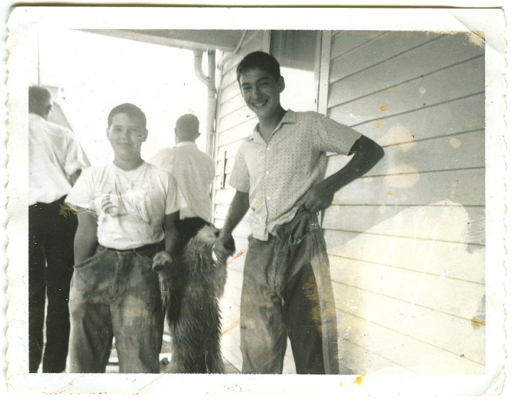 1116.jpg - Steve Rebling, Lynn Roth; Ray Roth & Paul Rebling in back.  Neighbors.  1961c