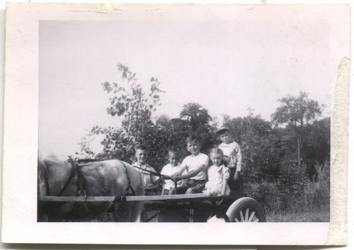 0370.jpg - Gary, Ed, Rich Reschly, Alice Kauffman, Fred Roth mule/cart 1950c  Ray & Fred Roth, Robert Kauffman