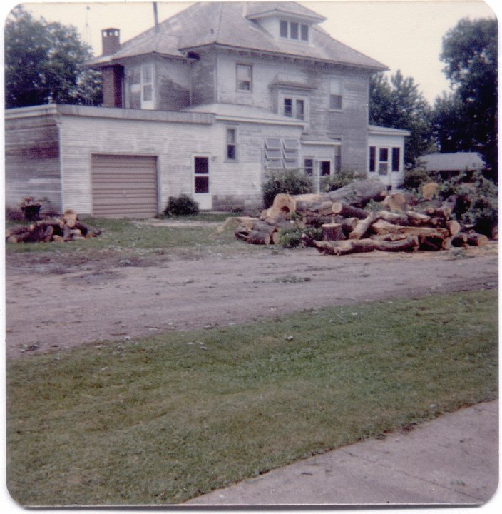 1678.jpg - Cutting down the tree by Harold Reschly's house in Olds, IA  1988c