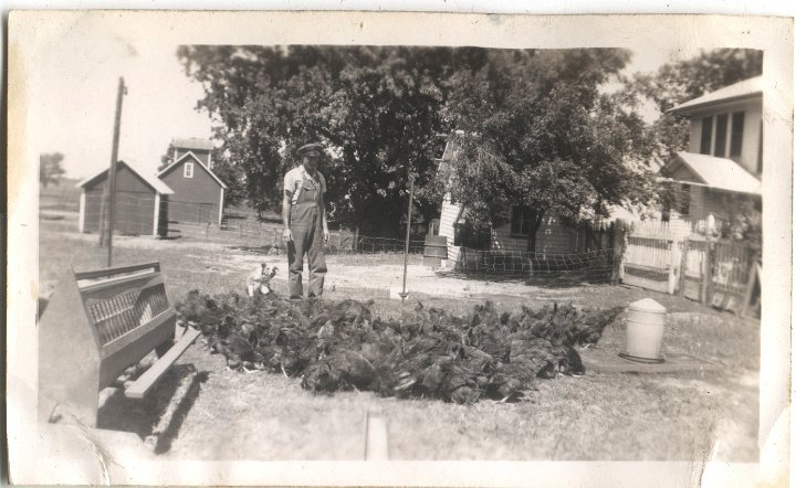 0603.jpg - Ray Roth with chickens  1943c