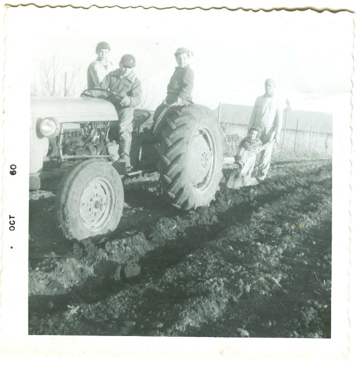 1032.jpg - Lynn, Larry, Reynolds, Lamar & Ray Roth, planting potatoes.  1960