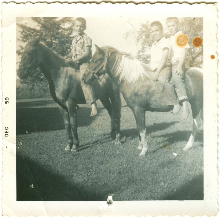 1181.jpg - Larry Roth, Danny Trevino, Lynn Roth on horses.  1959