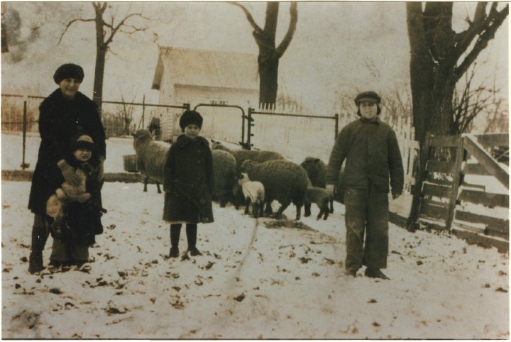 1304.jpg - Tending the sheep:  left:  Helen & Ray, Elsie, Orie Roth.  1924c  scan of a copy of the original whose owner is unknown.