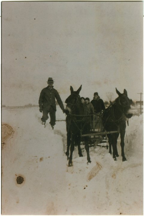 1307.jpg - 1936 Snowstorm.  Earl Swartzendruber's mules Mike & Queen.  Sunday went to Olds to help the sick man at Mahlon Wyse's house on Hwy 78.  scanned from a copy of an original whose owner is unkown.