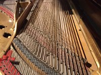 Antique piano Strings 1  Strings 1