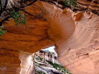 Under Katchina  Katchina Natural Bridge : Katchina Natural Bridge, Natural Bridges National Monument